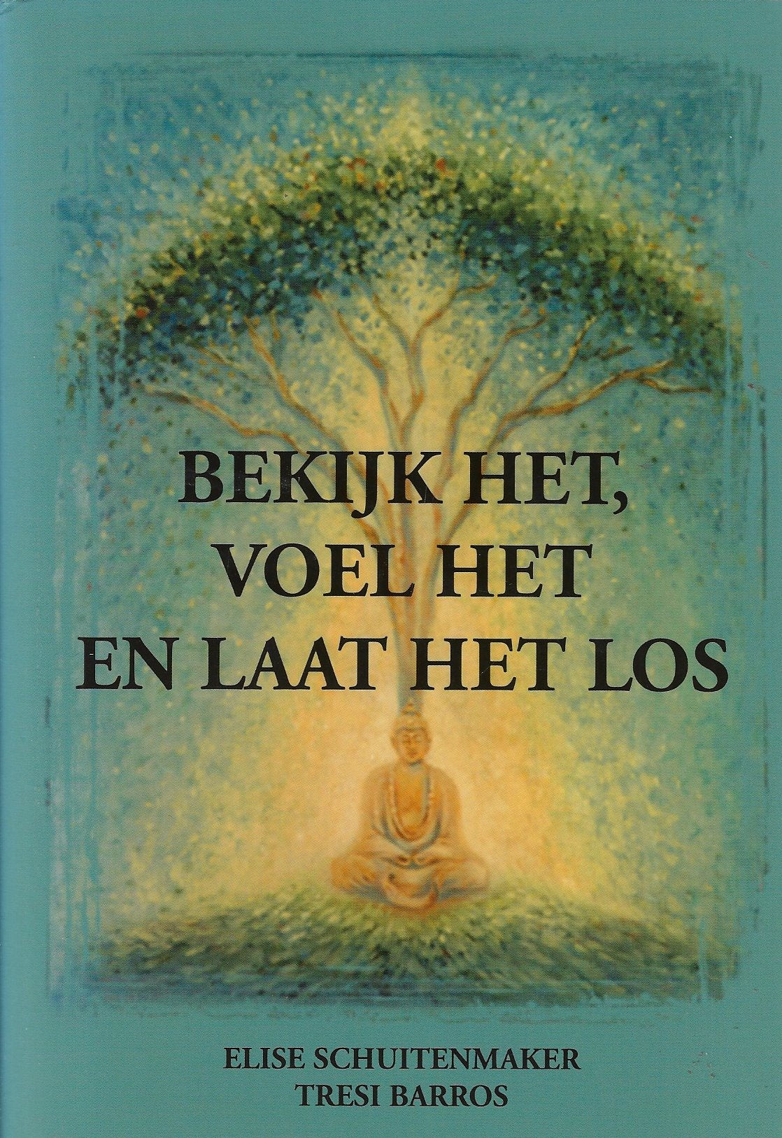 Omslag van Bekijk het, voel het en laat het los, tweedehands boek bij Boekhandel Bloks