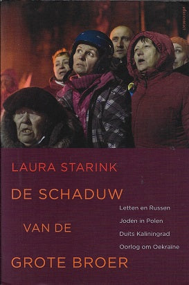 Omslag van De schaduw van de grote broer, tweedehands boek bij Boekhandel Bloks
