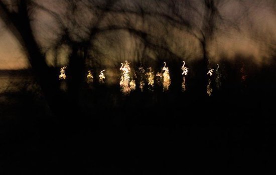 Omslag van Beings / the wild phenomena of now photography 2009-2014, tweedehands boek bij Boekhandel Bloks