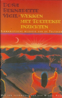 Omslag van Werken met tolteekse inzichten, tweedehands boek bij Boekhandel Bloks