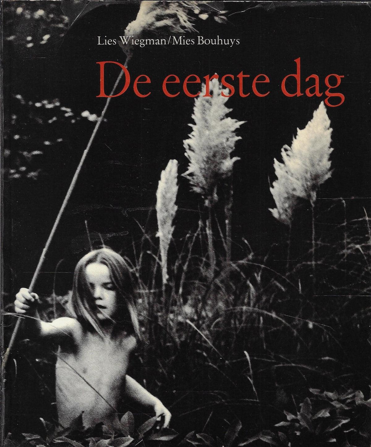 Omslag van Eerste dag, tweedehands boek bij Boekhandel Bloks