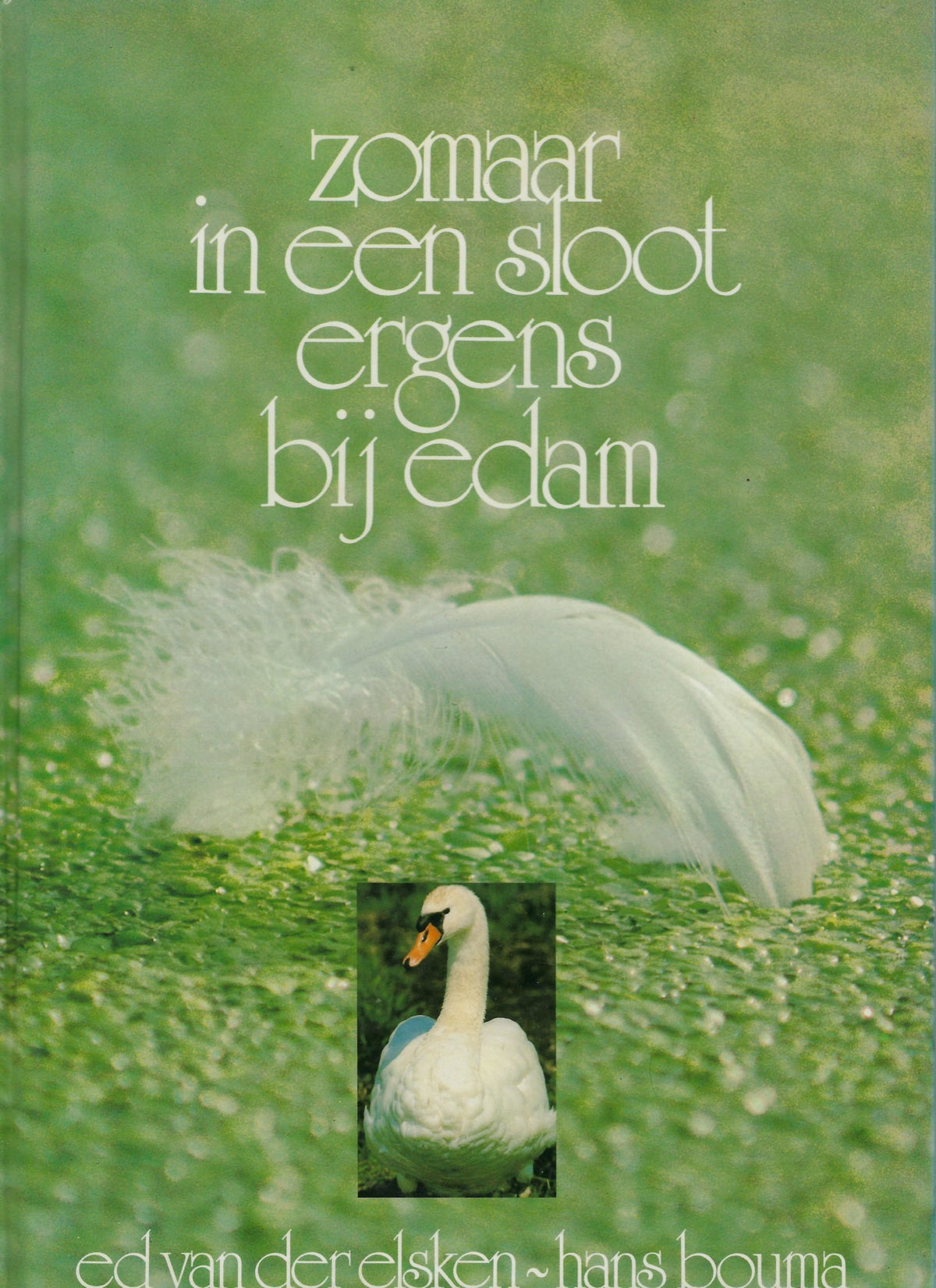 Omslag van Zomaar in een sloot ergens bij Edam, tweedehands boek bij Boekhandel Bloks