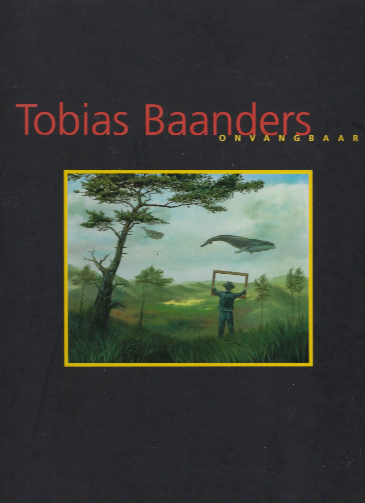 Omslag van Onvangbaar, tweedehands boek bij Boekhandel Bloks