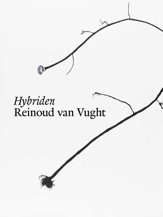 Omslag van Hybriden, tweedehands boek bij Boekhandel Bloks