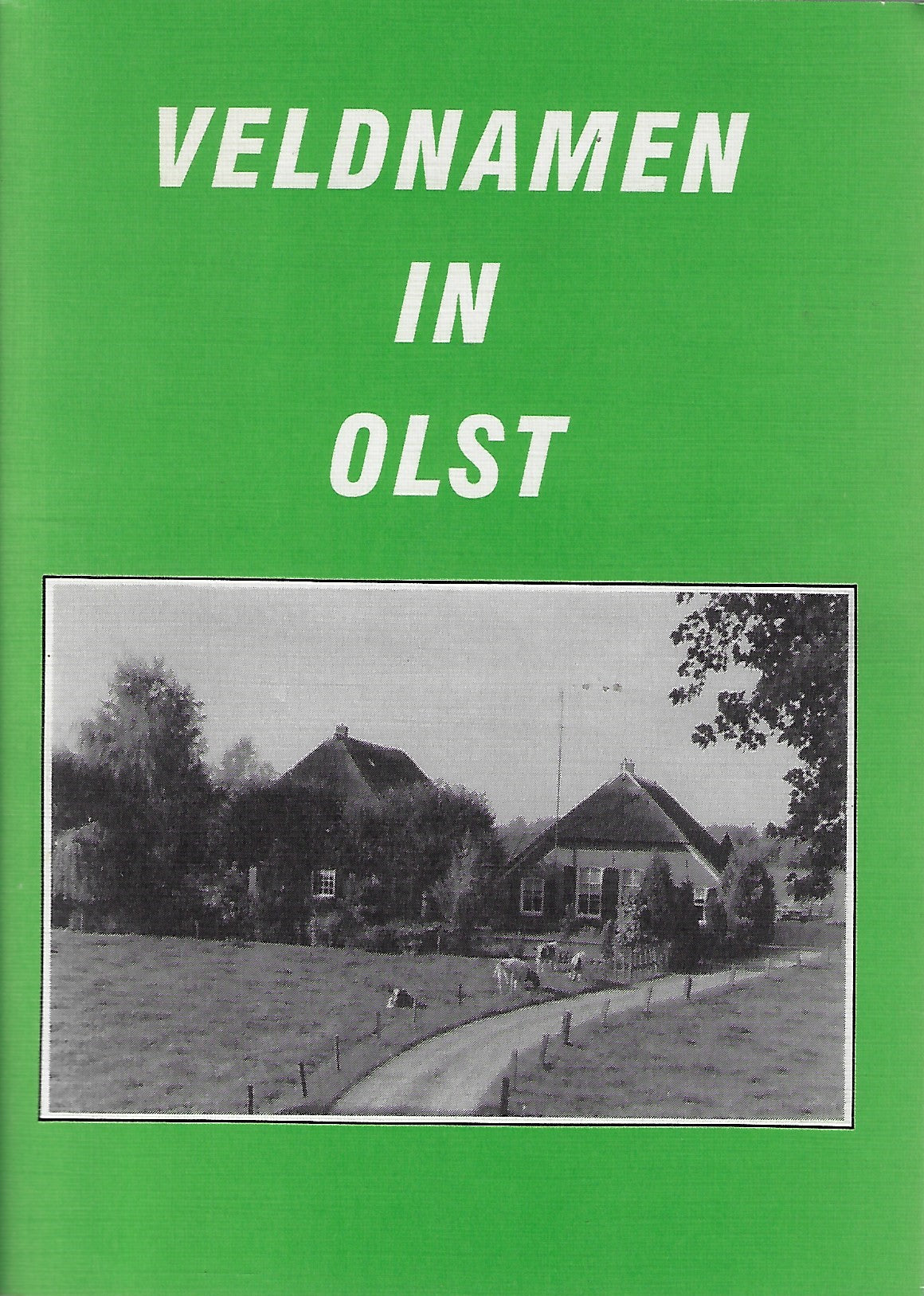 Omslag van Veldnamen in Olst, tweedehands boek bij Boekhandel Bloks