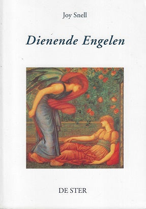 Omslag van Dienende engelen, tweedehands boek bij Boekhandel Bloks