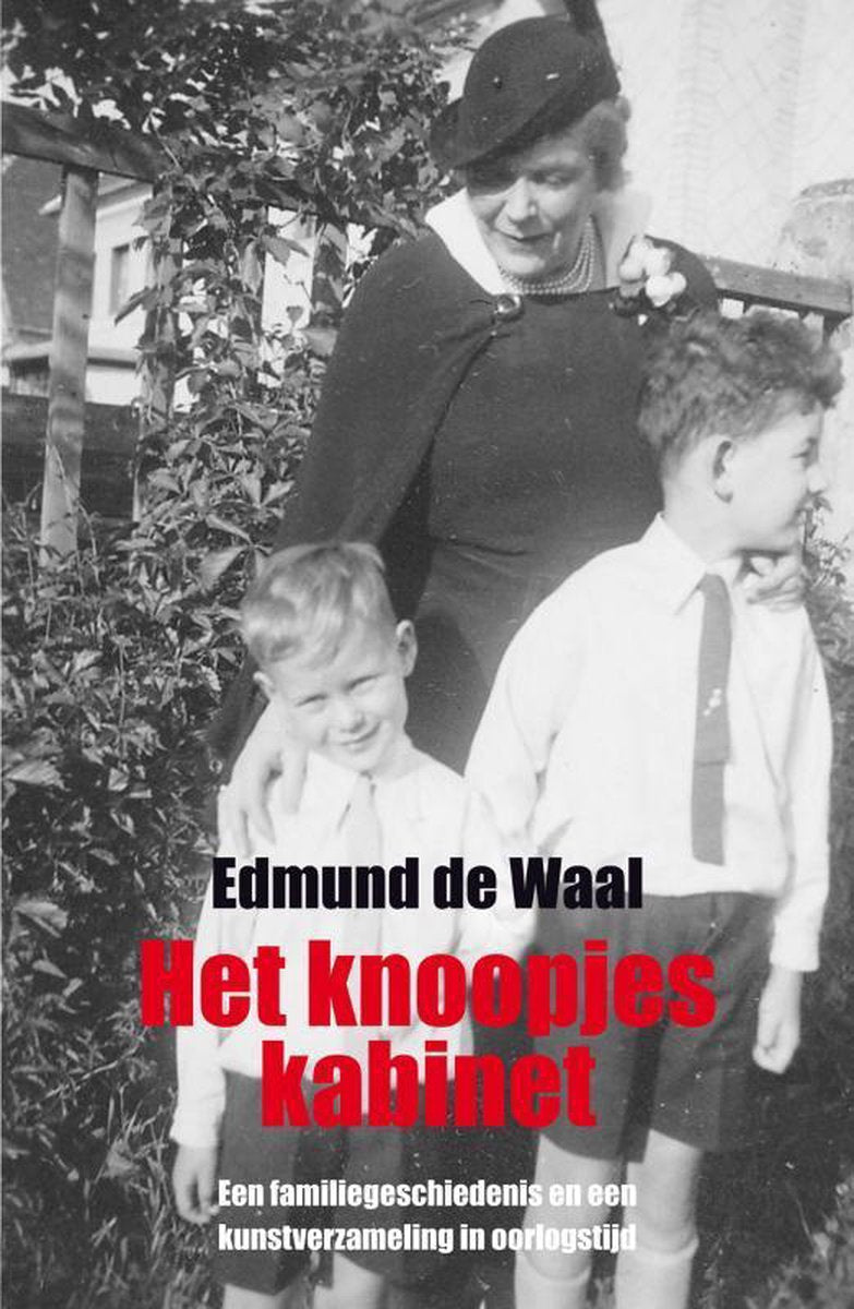 Omslag van Het knoopjeskabinet / hoe een werkster een verzameling redde - en daarmee een familiegeschiedenis, tweedehands boek bij Boekhandel Bloks