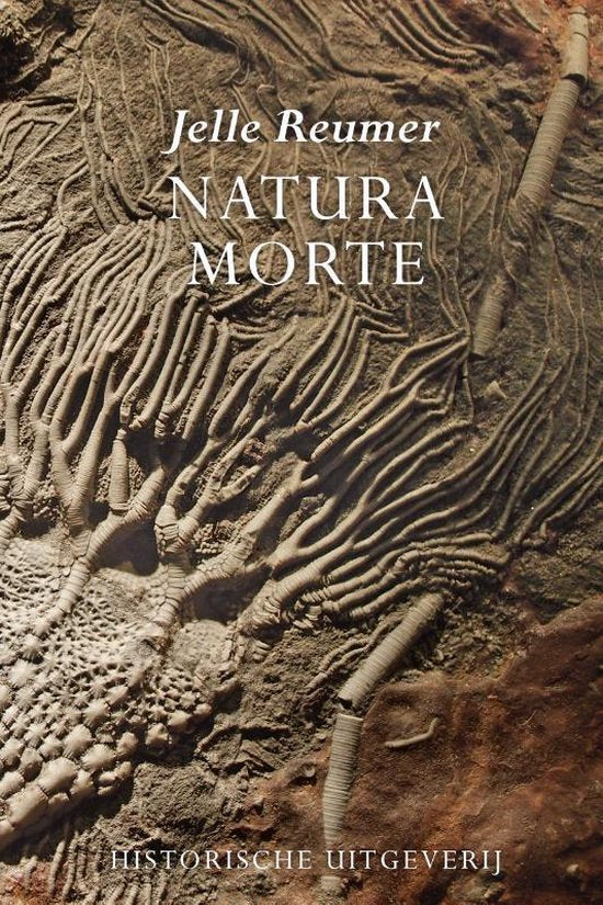 Omslag van Natura morte, tweedehands boek bij Boekhandel Bloks