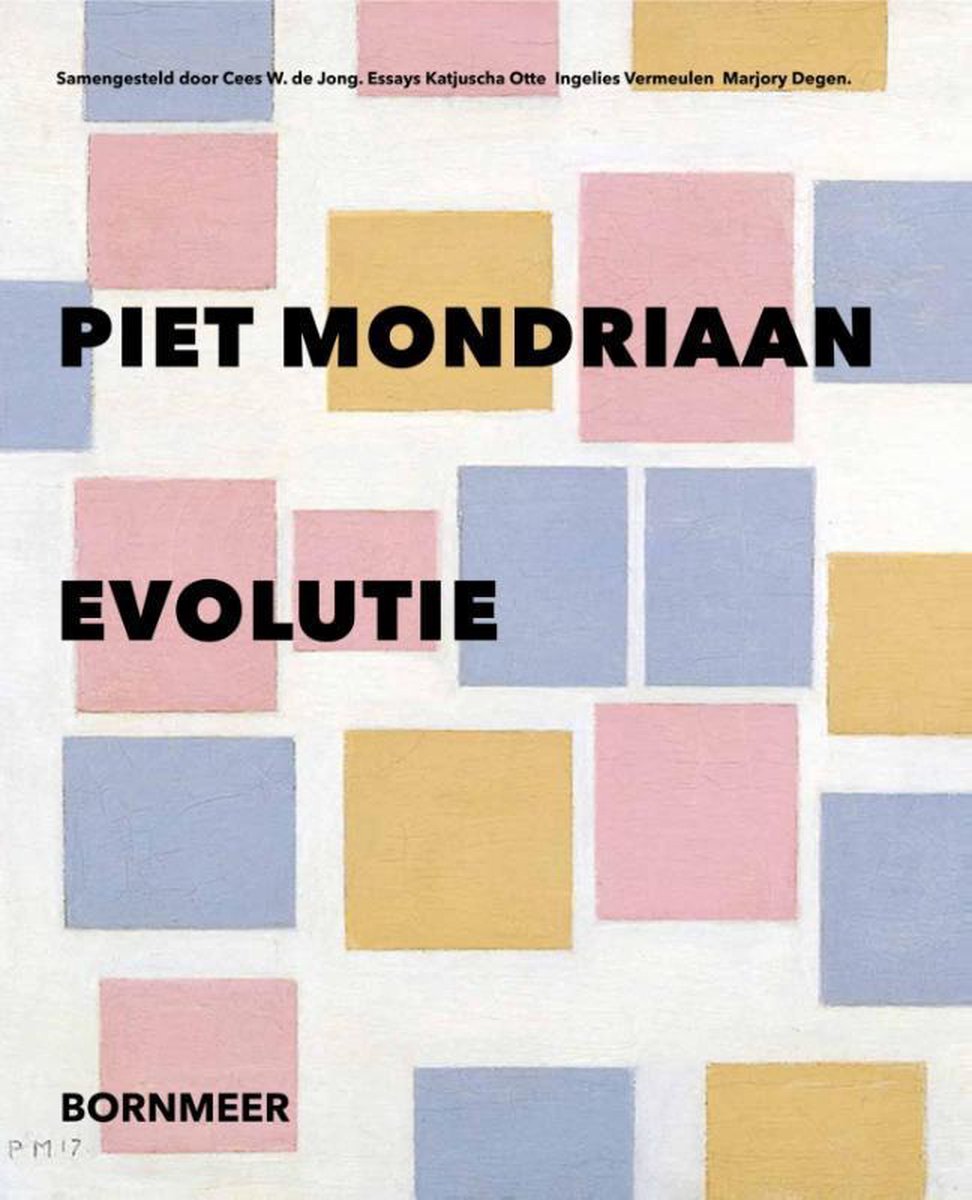 Omslag van Piet Mondriaan / evolutie, tweedehands boek bij Boekhandel Bloks