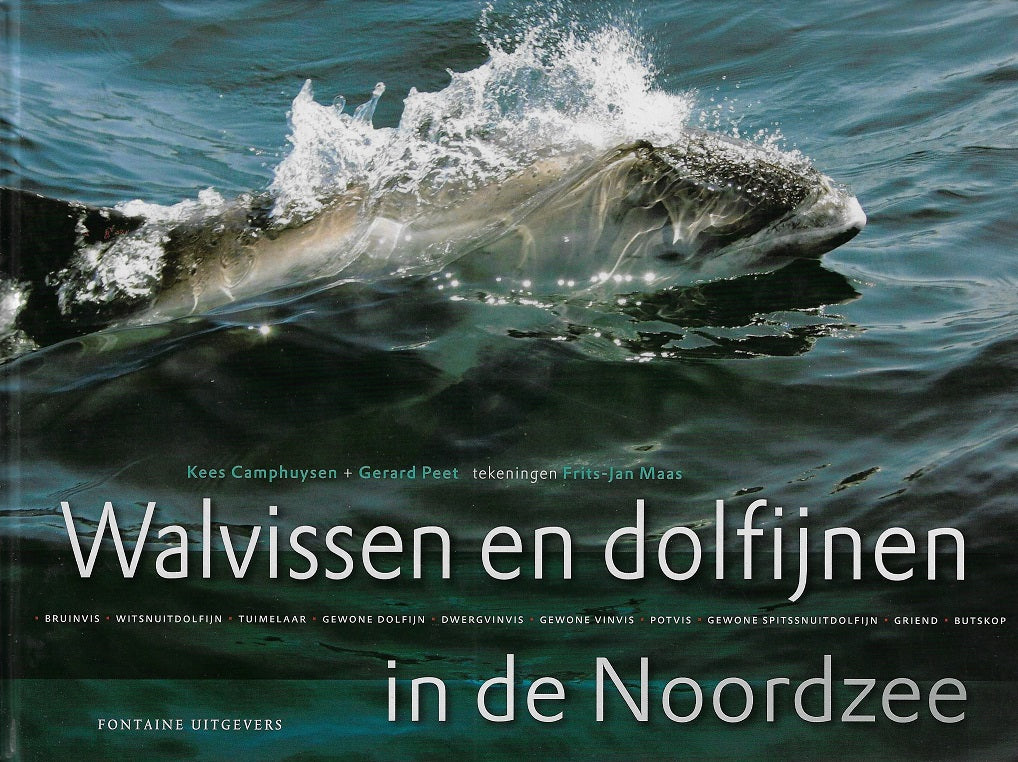 Omslag van Walvissen en dolfijnen in de Noordzee / in de zuidelijke Noordzee, tweedehands boek bij Boekhandel Bloks