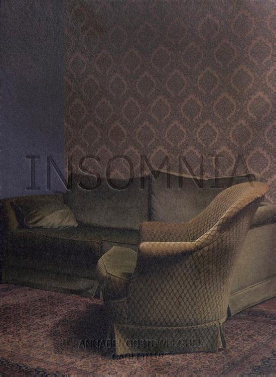Omslag van Insomnia - Annabel Oosteweeghel, tweedehands boek bij Boekhandel Bloks