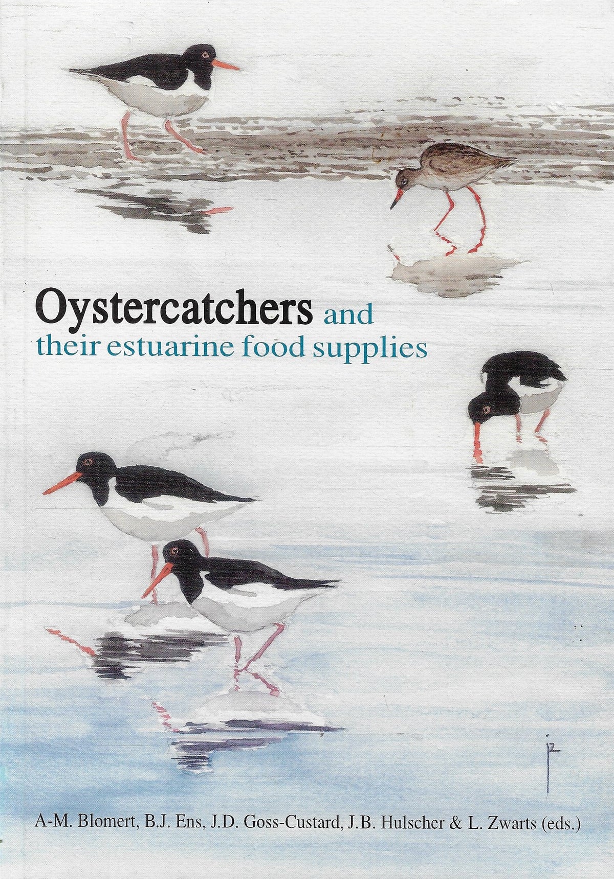 Omslag van The Oystercatchers and their estuarine food supplies, tweedehands boek bij Boekhandel Bloks