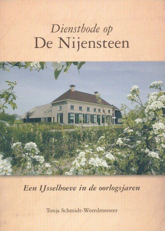 Omslag van Dienstbode op de Nijensteen, tweedehands boek bij Boekhandel Bloks