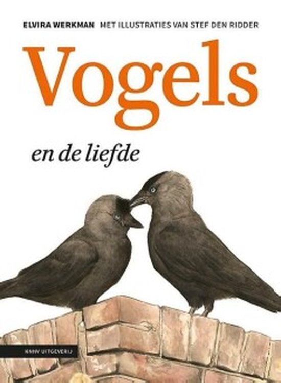 Omslag van Vogels en de liefde, tweedehands boek bij Boekhandel Bloks