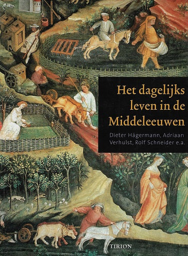 Omslag van Het dagelijks leven in de Middeleeuwen, tweedehands boek bij Boekhandel Bloks
