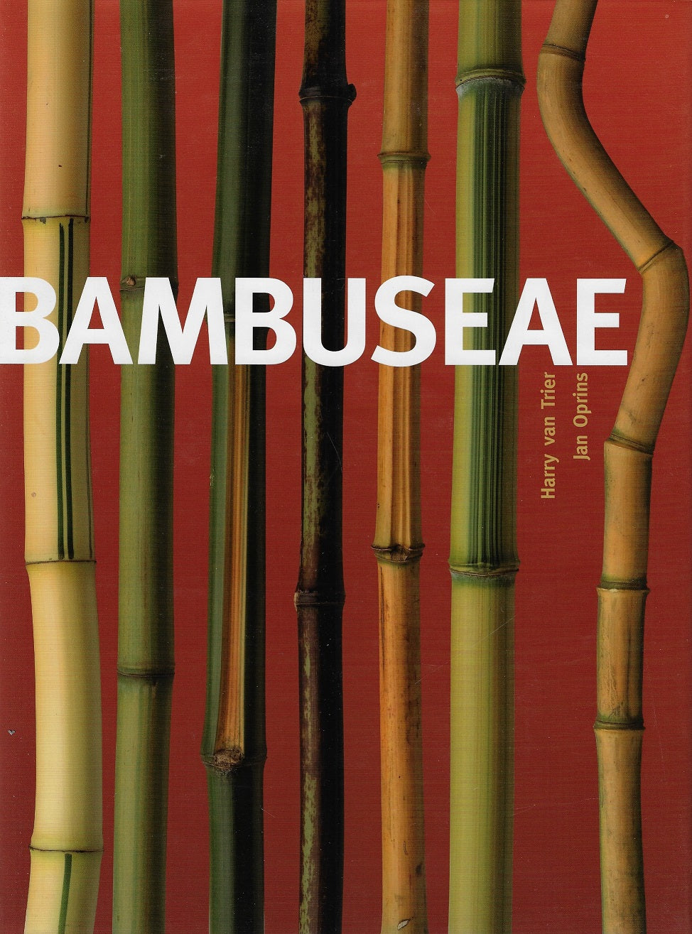 Omslag van Bambuseae / de wereld van de bamboe, tweedehands boek bij Boekhandel Bloks