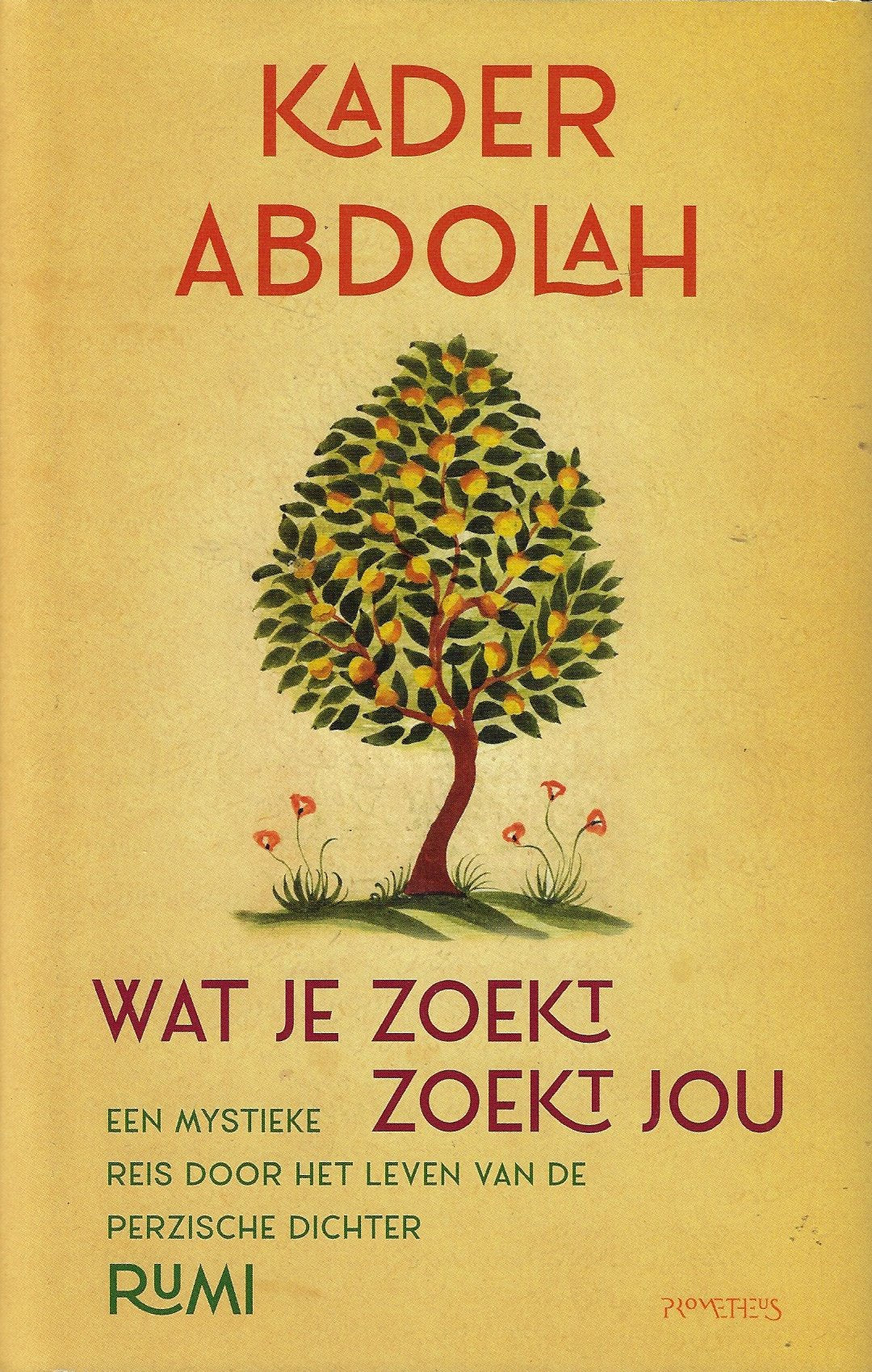 Omslag van Wat je zoekt, zoekt jou / Een mystieke reis door het leven van de Perzische dichter Rumi, tweedehands boek bij Boekhandel Bloks