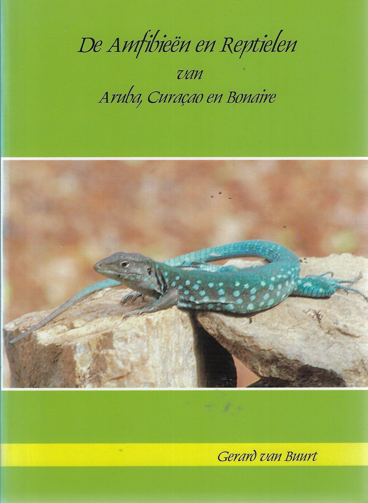 Omslag van De amfibieën en reptielen van Aruba, Curaçao en Bonaire door Gerard van, tweedehands boek bij Boekhandel Bloks