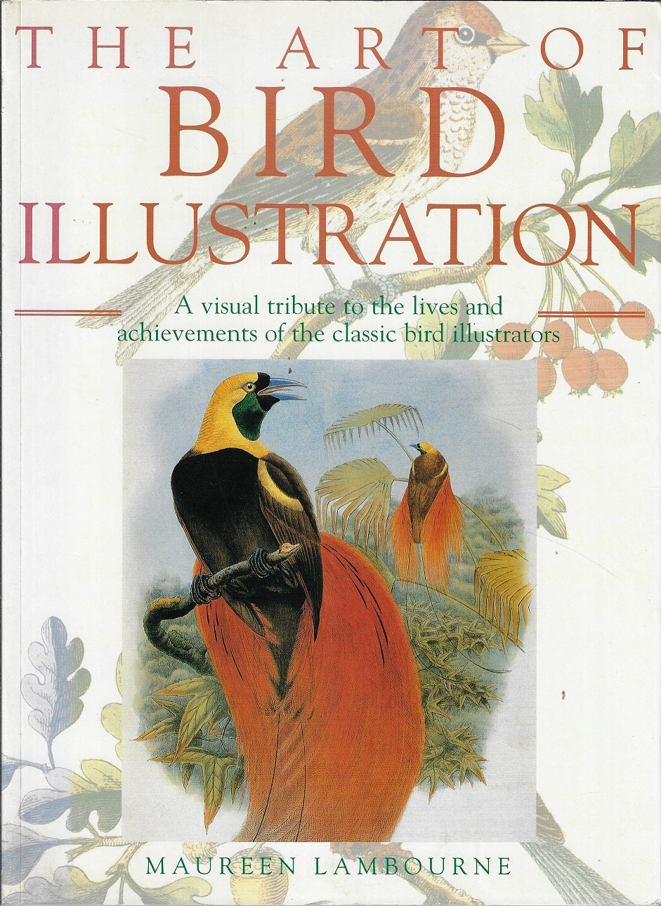 Omslag van The art of bird illustration, tweedehands boek bij Boekhandel Bloks