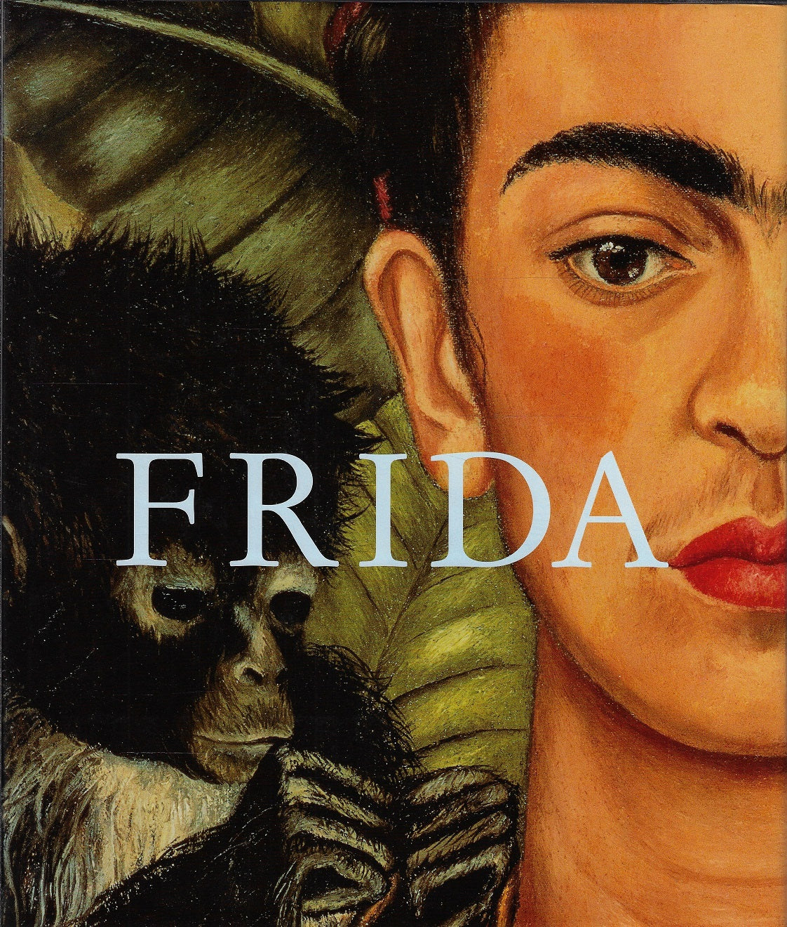 Omslag van Frida Kahlo / The painter and her work, tweedehands boek bij Boekhandel Bloks
