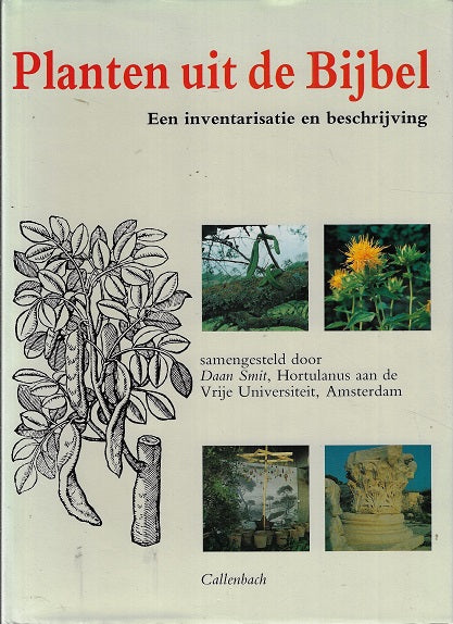 Omslag van Planten uit de bijbel, tweedehands boek bij Boekhandel Bloks