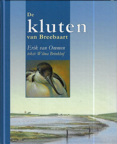 Omslag van De kluten van Breebaart, tweedehands boek bij Boekhandel Bloks