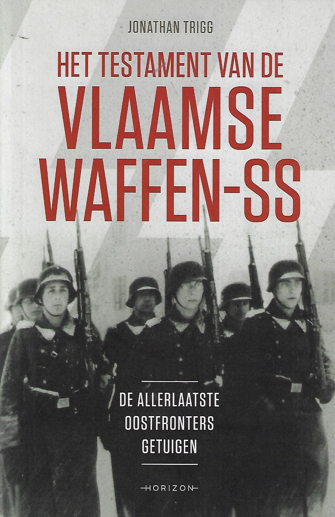 Omslag van Het testament van de Vlaamse Waffen-SS, tweedehands boek bij Boekhandel Bloks
