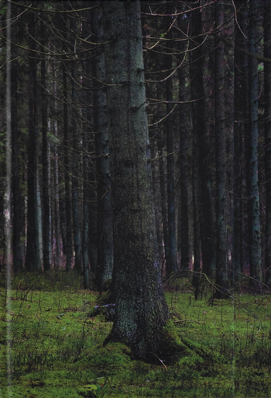 Omslag van Wolfskinder / A Post-War Story, tweedehands boek bij Boekhandel Bloks