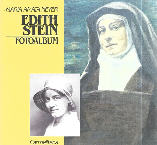 Omslag van Edith Stein, tweedehands boek bij Boekhandel Bloks