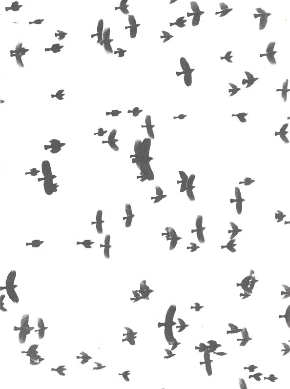 Omslag van Swarm, tweedehands boek bij Boekhandel Bloks