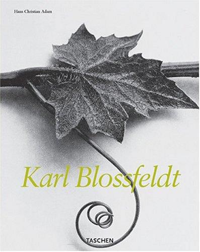 Omslag van Karl Blossfeldt (Midsize) door Dr. Adam, tweedehands boek bij Boekhandel Bloks