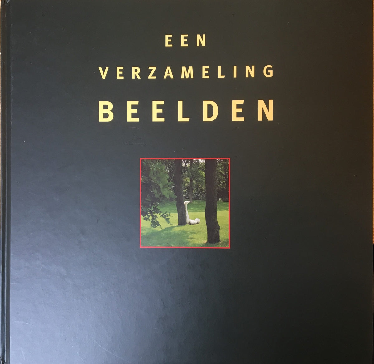 Omslag van Een verzameling beelden, tweedehands boek bij Boekhandel Bloks