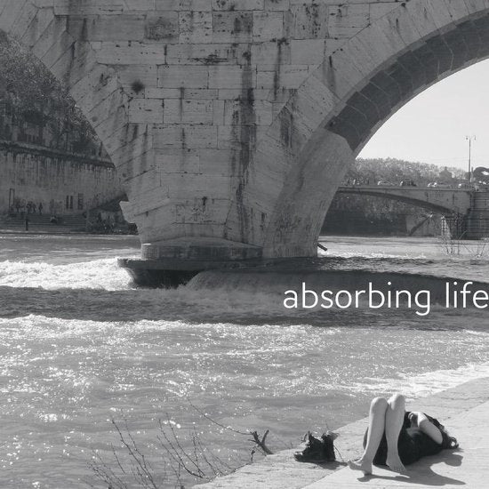 Omslag van Absorbing life, tweedehands boek bij Boekhandel Bloks