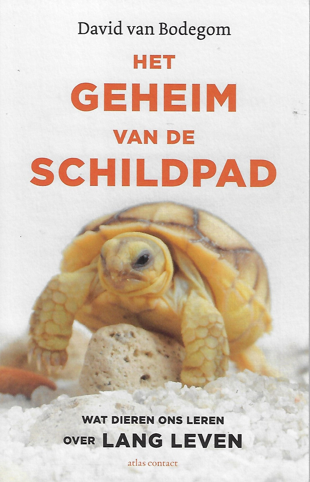 Omslag van Het geheim van de schildpad / wat dieren ons leren over lang leven, tweedehands boek bij Boekhandel Bloks