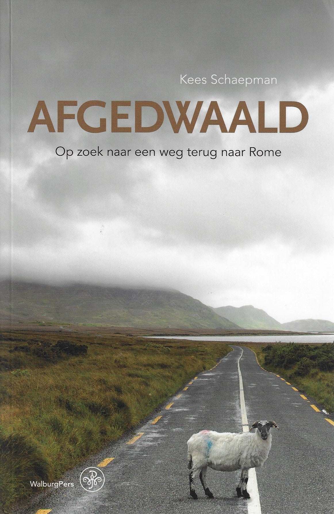 Omslag van Afgedwaald / op zoek naar een weg terug naar Rome, tweedehands boek bij Boekhandel Bloks