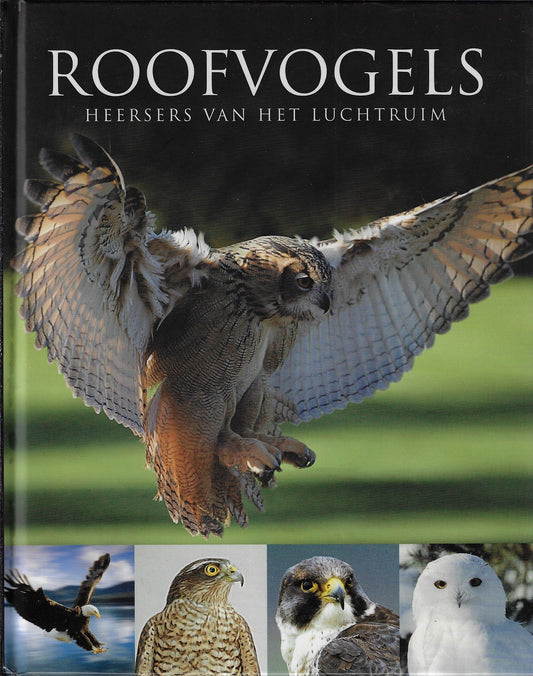 Omslag van Roofvogels, heersers van het luchtruim, tweedehands boek bij Boekhandel Bloks