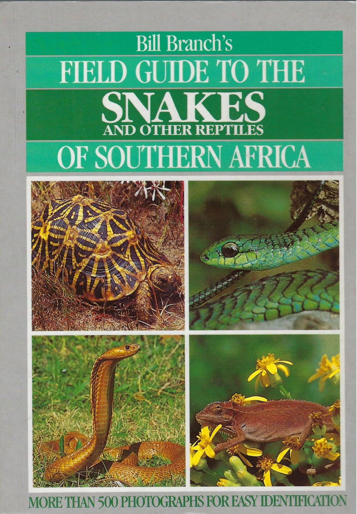 Omslag van Field guide to the snakes and other reptiles of southern Africa, tweedehands boek bij Boekhandel Bloks