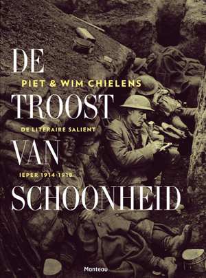 Omslag van Troost van schoonheid / de literaire salient Ieper 1914-1918, tweedehands boek bij Boekhandel Bloks