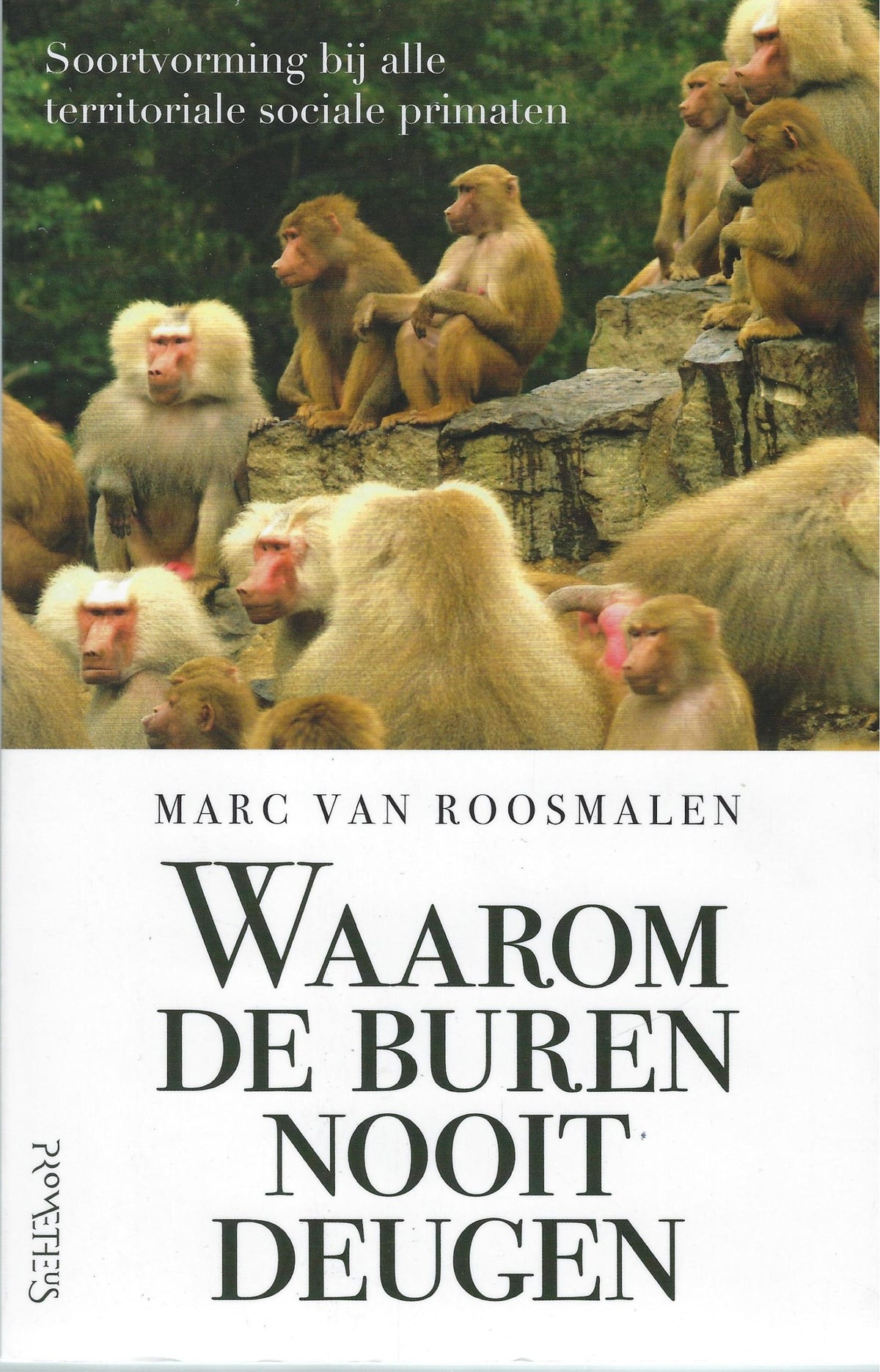 Omslag van Waarom de buren nooit deugen, tweedehands boek bij Boekhandel Bloks