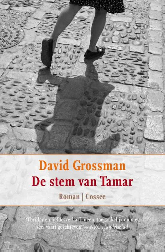 Omslag van De stem van Tamar, tweedehands boek bij Boekhandel Bloks