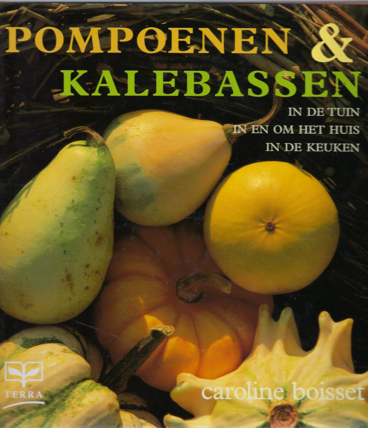 Omslag van Pompoenen & kalebassen, tweedehands boek bij Boekhandel Bloks
