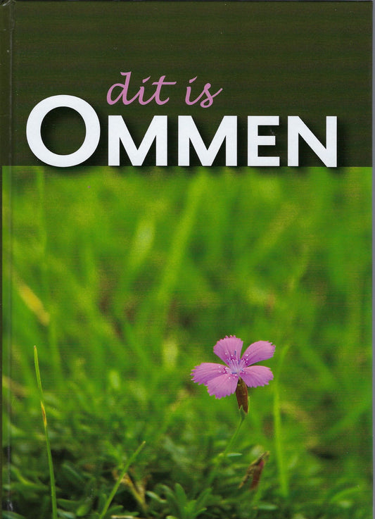 Omslag van Dit is Ommen, tweedehands boek bij Boekhandel Bloks