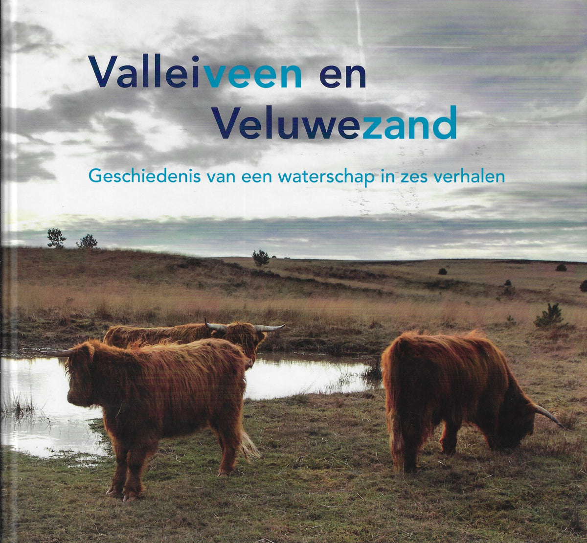 Omslag van Valleiveen en Veluwezand, tweedehands boek bij Boekhandel Bloks