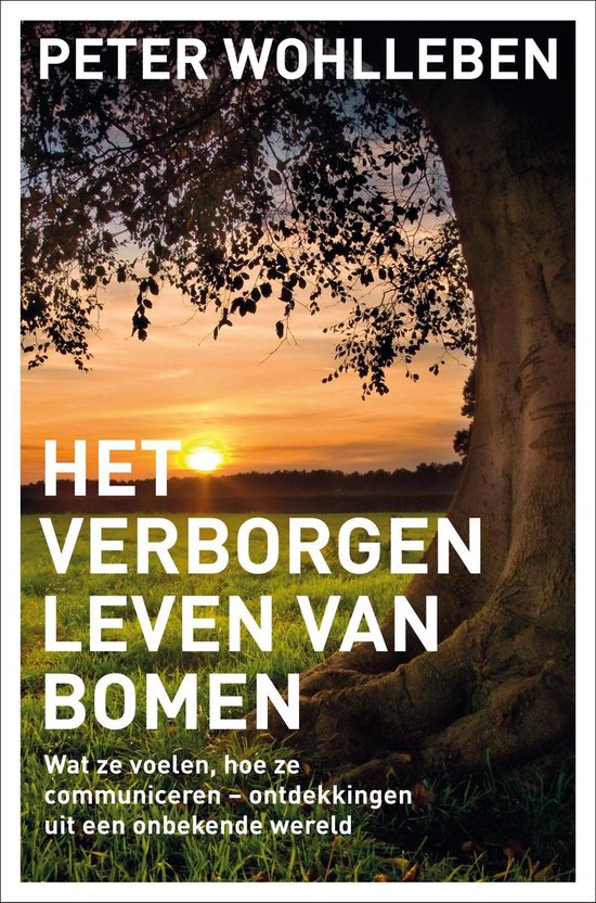 Omslag van Het verborgen leven van bomen / wat ze voelen, hoe ze communiceren - ontdekkingen uit een onbekende wereld, tweedehands boek bij Boekhandel Bloks