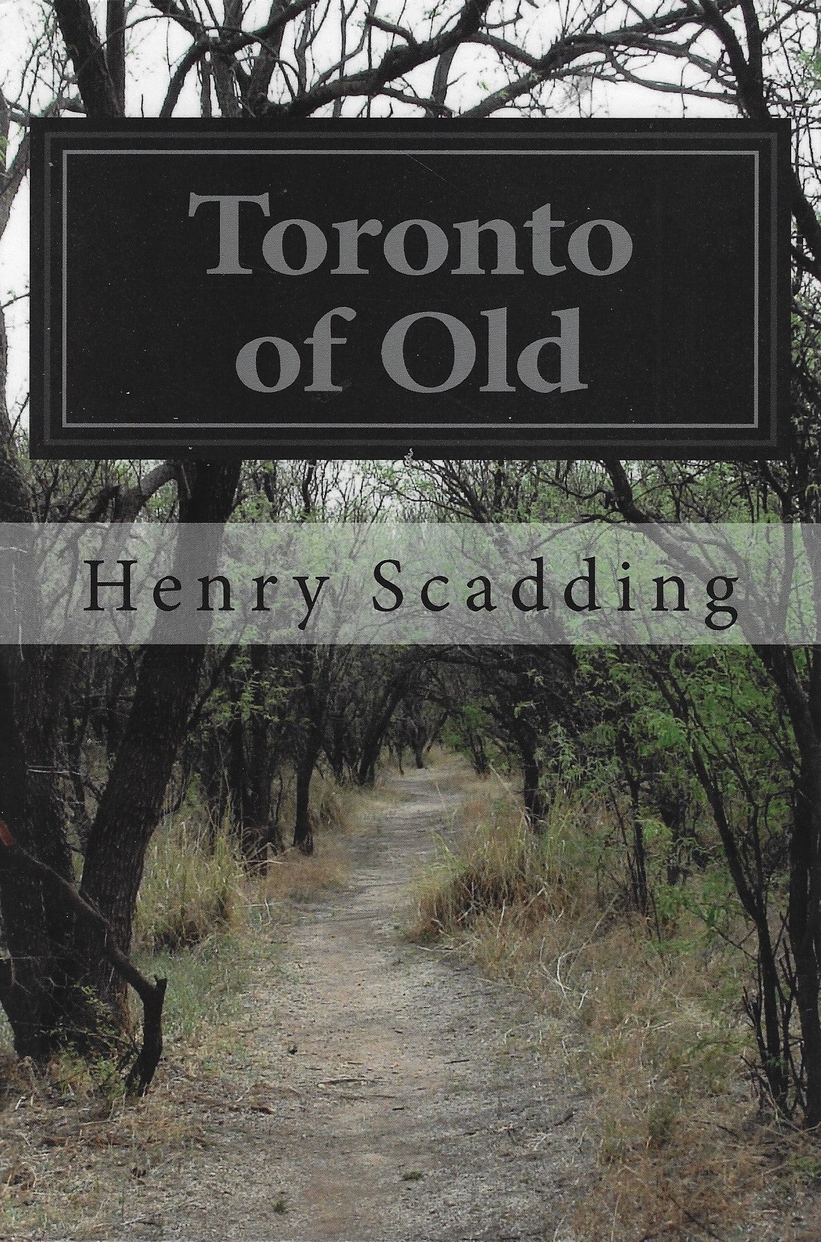 Omslag van Toronto of Old, tweedehands boek bij Boekhandel Bloks