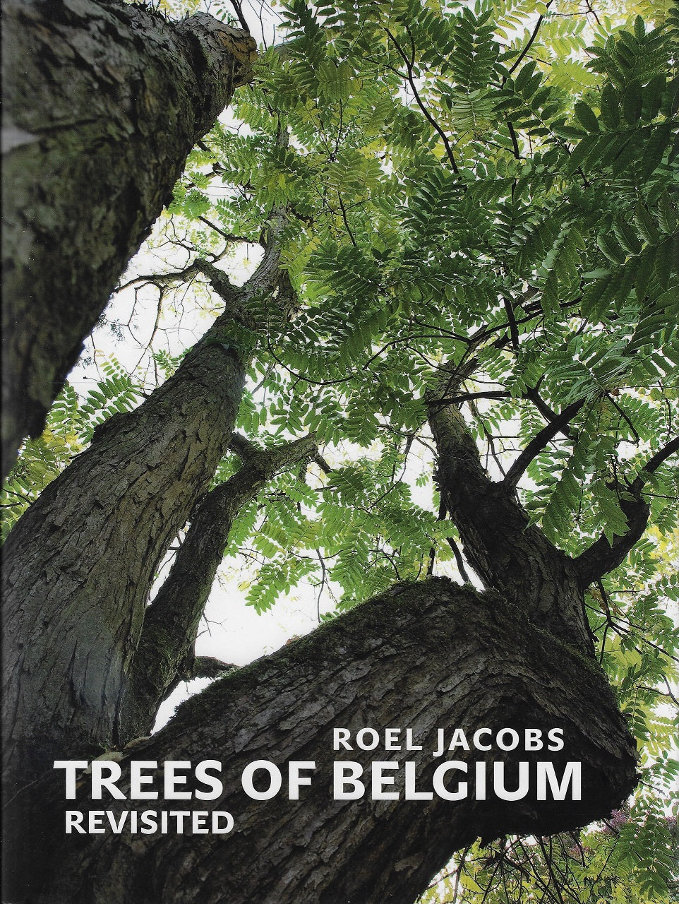 Omslag van Trees of Belgium revisited, tweedehands boek bij Boekhandel Bloks