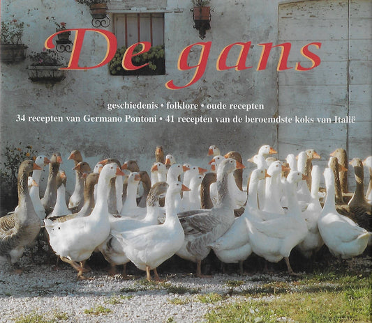 Omslag van De gans, tweedehands boek bij Boekhandel Bloks