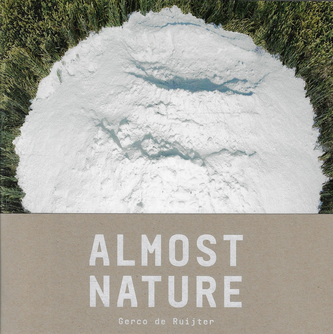 Omslag van Almost nature, tweedehands boek bij Boekhandel Bloks