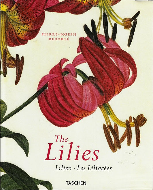 Omslag van The Lilies, tweedehands boek bij Boekhandel Bloks