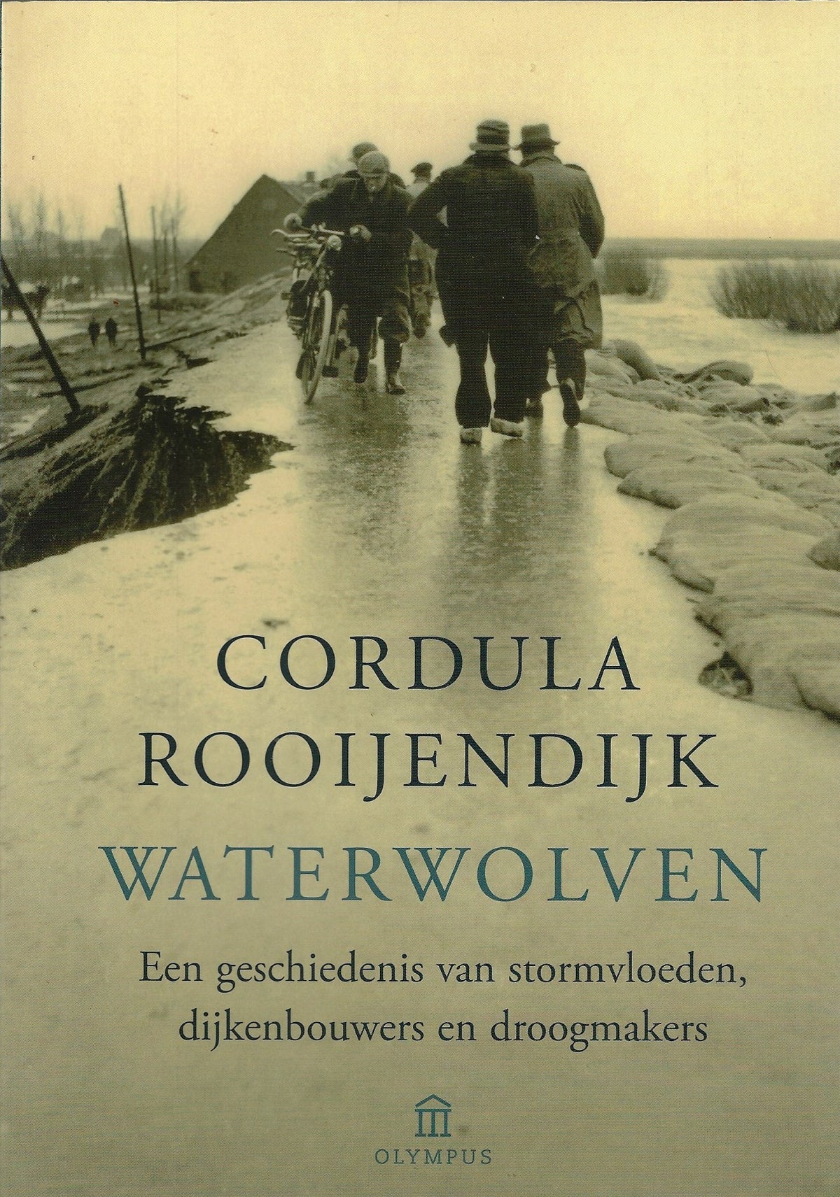 Omslag van Waterwolven / een geschiedenis van stormvloeden, dijkenbouwers en droogmakers, tweedehands boek bij Boekhandel Bloks